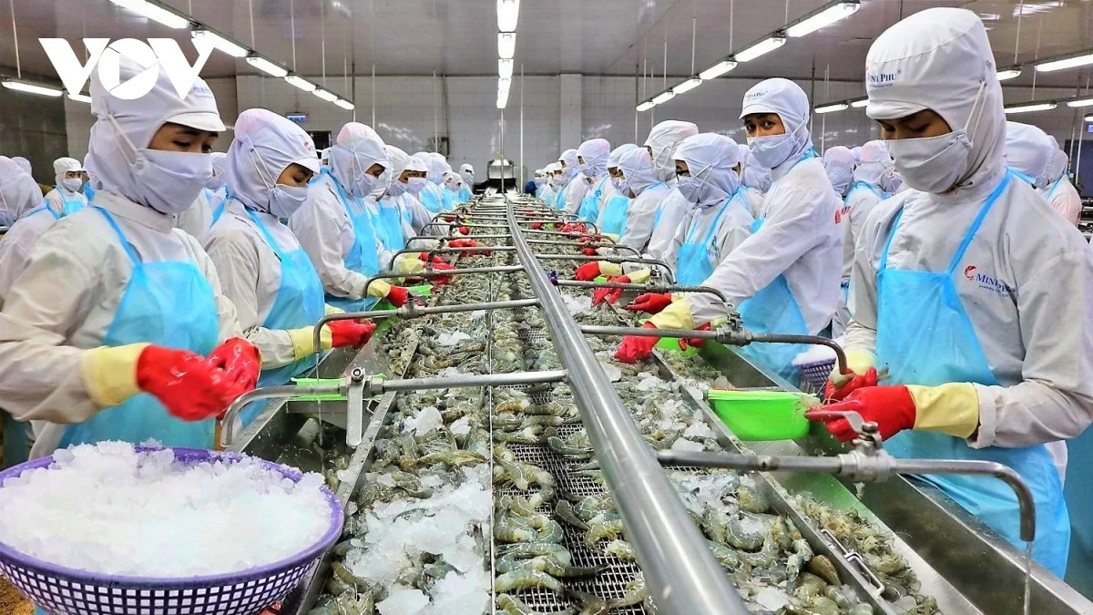 Vietnam Seafood Industry